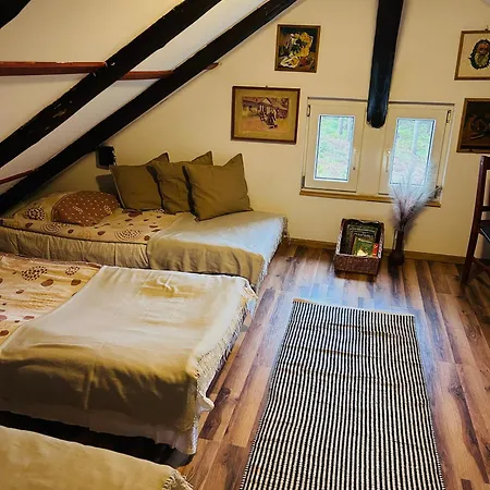 Guest house W Lesie Kudowa Zdroj