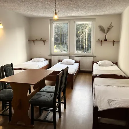 W Lesie Guest house *
