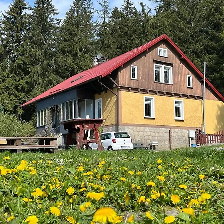 W Lesie * Kudowa Zdroj
